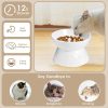 Kopmath Ceramic Slow Feeder Cat Bowl Raised Stand-1