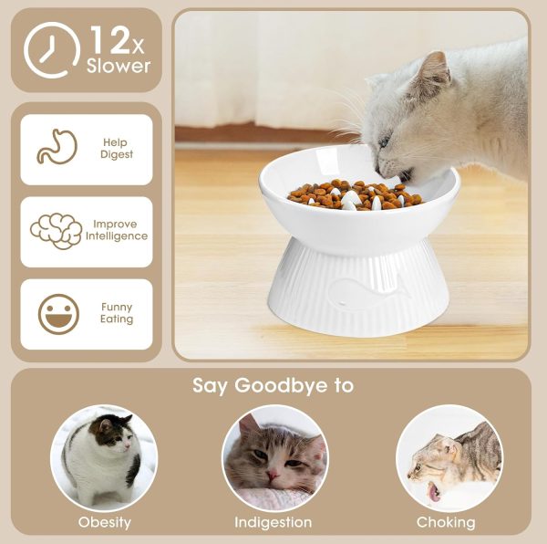 Kopmath Ceramic Slow Feeder Cat Bowl Raised Stand-1