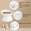 Kopmath Ceramic Slow Feeder Cat Bowl Raised Stand-5