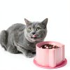 Cat Slow Feeder TranRantic Elevated PP Bowl-5
