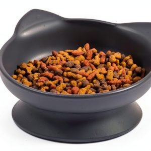Elevated Slow Feeder Cat Bowls by SportPet Designs-0