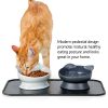 Elevated Slow Feeder Cat Bowls by SportPet Designs-1