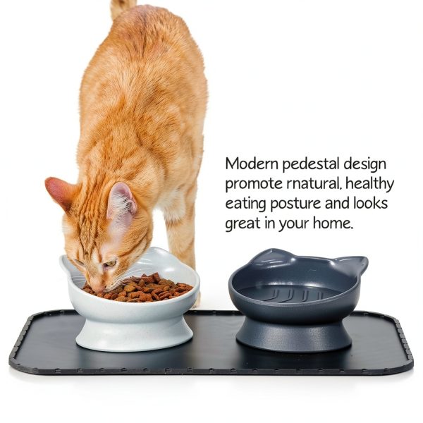 Elevated Slow Feeder Cat Bowls by SportPet Designs-1