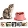 Cat Slow Feeder TranRantic Elevated PP Bowl-3