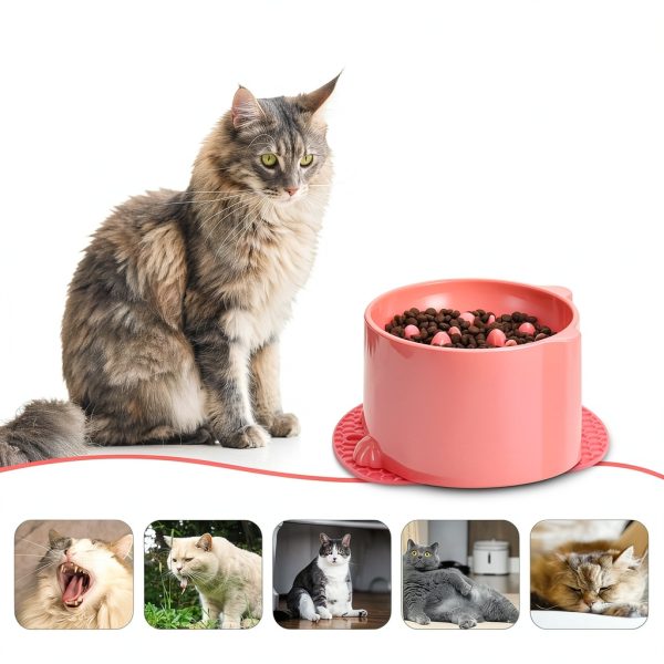 Cat Slow Feeder TranRantic Elevated PP Bowl-3