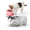 Cat Slow Feeder TranRantic Elevated PP Bowl-4