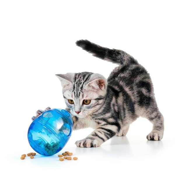 PetSafe FUNkitty Egg-Cersizer Cat Slow Feeder – Dispenser PTY00-13747-3