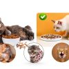SLSON Cat Ceramic Slow Feeder Bowl CAT BOWLS-373 Shallow Design-3