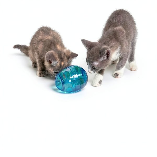 PetSafe FUNkitty Egg-Cersizer Cat Slow Feeder – Dispenser PTY00-13747-5