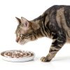 SLSON Cat Ceramic Slow Feeder Bowl CAT BOWLS-373 Shallow Design-1