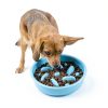 Moupet Dog Slow Feeder 3-in-1 Set with Water Bowl and Non‑Slip Mat-3