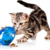PetSafe FUNkitty Egg-Cersizer Cat Slow Feeder – Dispenser PTY00-13747-8